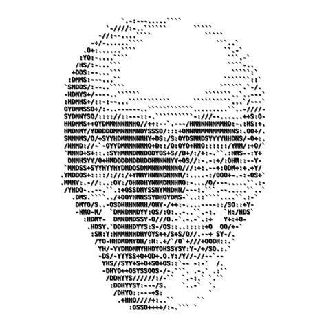 ACSII Skull | ASCII art, Text art, Code art