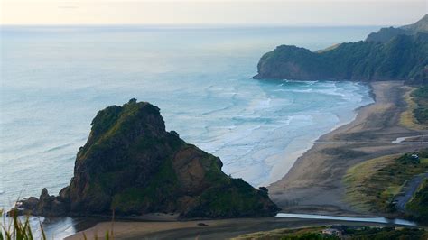 Piha Beach in Auckland, | Expedia