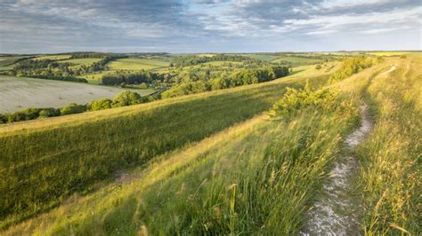 Hod Hill circular walk | Dorset | National Trust