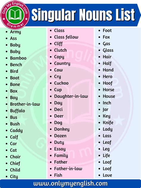 Singular Nouns List in English | Singular nouns, Nouns, English ...