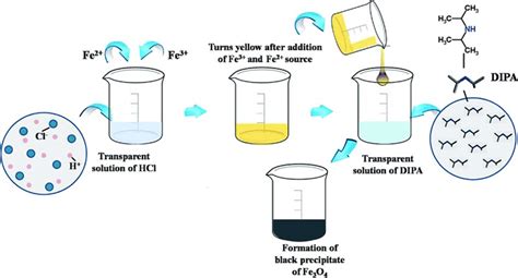 Schematic of synthesis of Fe3O4 magnetic nanoparticles using ...