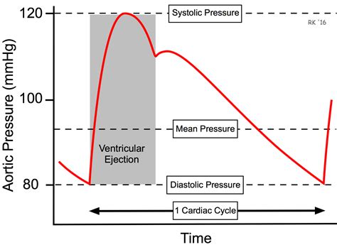 CV Physiology | Mean Arterial Pressure