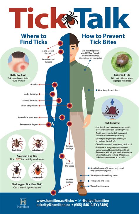 Putting the Bite on Ticks | Pier 8 Group