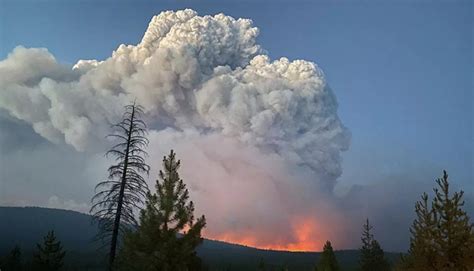 Intern Spotlights: Spring 2023 Wildland Fire Interns | NASA Applied ...