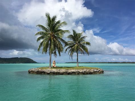 Coconut Trees Planted on Island · Free Stock Photo