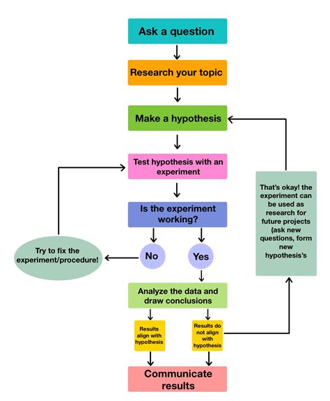 Steps Of Science Experiment