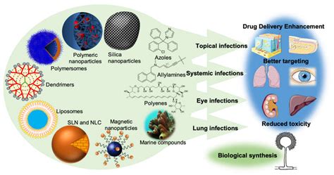 Pharmaceuticals | Free Full-Text | Current Insights on Antifungal ...