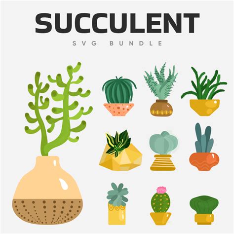 Succulent SVG Bundle – MasterBundles