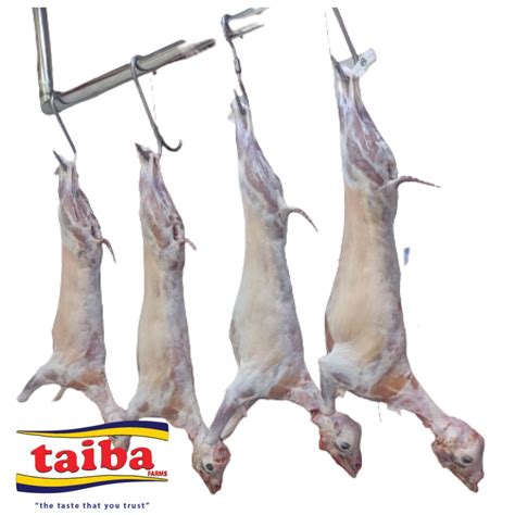 Fresh Mutton, Goat Whole Goat Caracas Delivery Online in Dubai, Abu ...