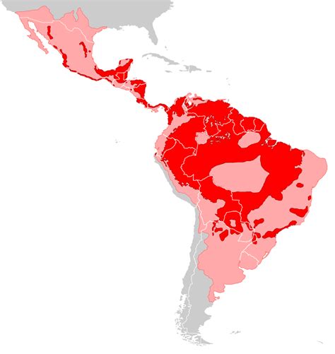 Jaguar, current and past range #map #jaguar