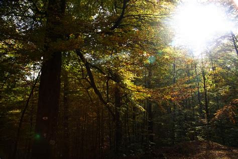 Top 5 great hiking routes in the Ardennes | Tourism in the Ardennes