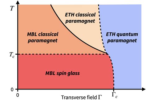 The Relationship Between Quantum Spin Glass and Many-Body Localization