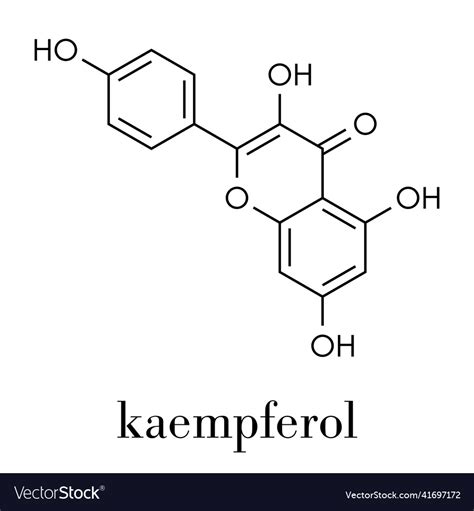 Kaempferol antioxidant molecule skeletal formula Vector Image