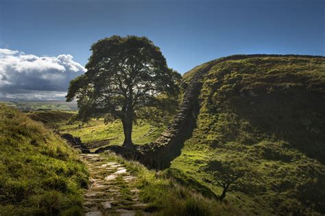 Steve Clements - 'Sycamore Gap, Hadrian's Wall' | Photocircle.net