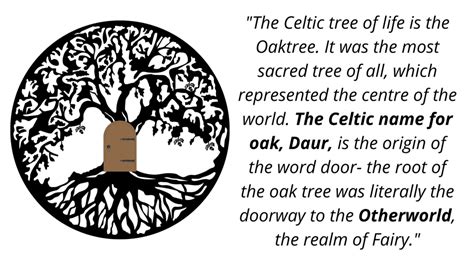 Celtic Tree Of Life(Crann Bethadh) - All You Need To Know About It