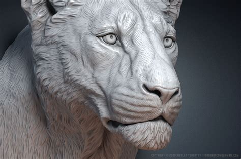 ArtStation - Lioness sculpture bust. Digital 3d