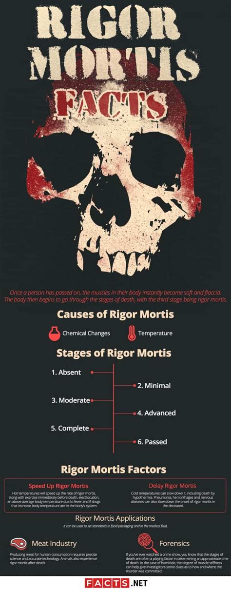 Rigor Mortis Facts That Will Surprise You | Facts.net