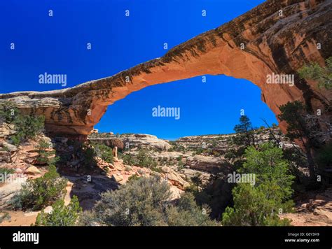 owachomo bridge at natural bridges national monument, utah Stock Photo ...