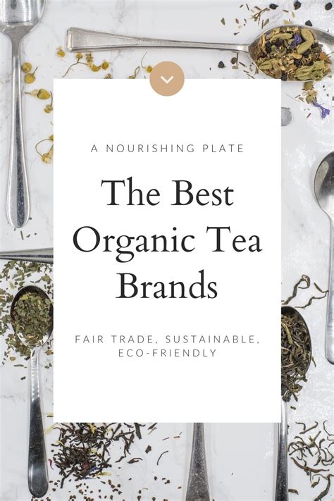 The Best Organic Tea Brands (Healthy & Affordable) - A Nourishing Plate