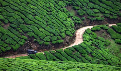 Landscapes of Munnar – A Photography Workshop – Musings of a Wandering Mind