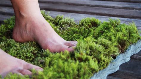 31 DIY Homemade Moss Bath Mat Ideas