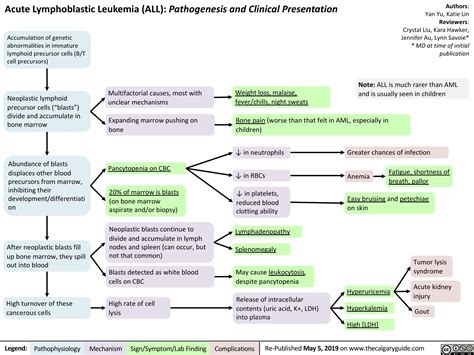 Acute Lymphoblastic Leukemia | Calgary Guide