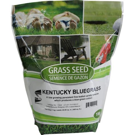 1kg Kentucky Bluegrass Grass Seed | Walmart Canada