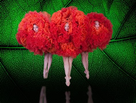 MOMIX | Vilar Performing Arts Center