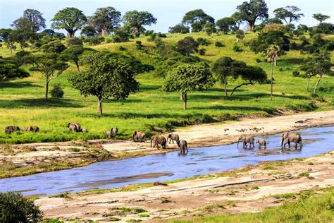 Visiter le parc national du Serengeti en Tanzanie