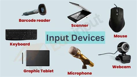 Input, output, processing, and storage devices of computer