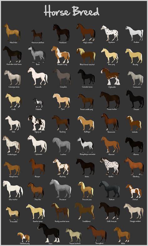 Horse Breeds A To Z - Cat & Dog & Pet