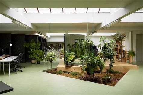 Indoor garden design ideas – types of indoor gardens and plant tips