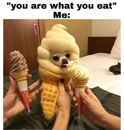 20+ Delicious Food Memes That'll Feed Your Soul | Funny food memes ...