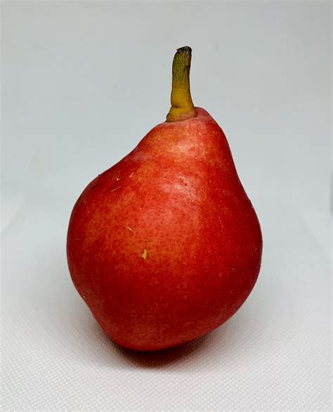 Red Anjou Pear, Ea - Giordano Garden Groceries