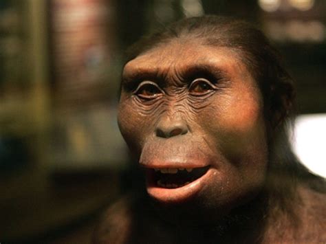 Walking With Cavemen Australopithecus