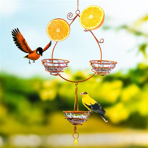 10 Best Large Oriole Bird Feeders for Your Backyard - Hummingbirds Plus