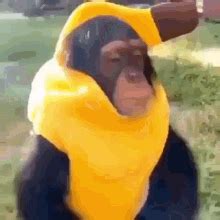 Monkey Banana GIF - Monkey Banana - Discover & Share GIFs