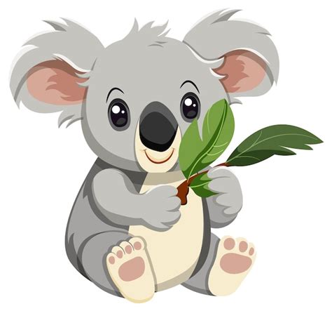 Free Vector | Cute koala cartoon character isolated