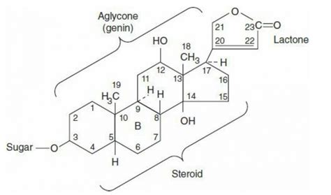 Cardiac Glycosides: Pharmacological Overview | Learn from doctor