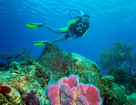 Cozumel Two Tank Scuba Diving - Cozumel Cruise Excursions