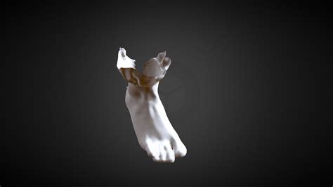 3D Foot Scan - Download Free 3D model by Structure (@structure3d ...