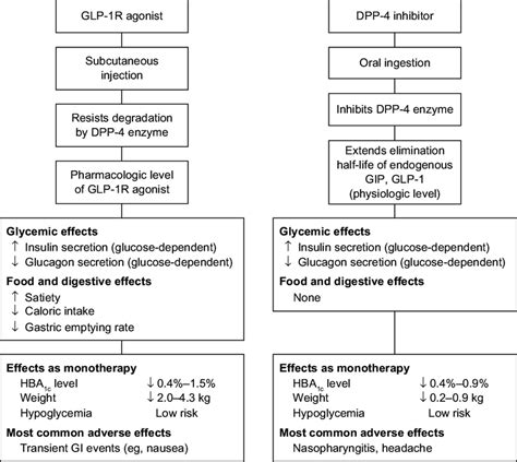 Glp 1 Receptor Agonists Chart