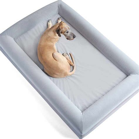 The Best 10 Waterproof Dog Beds (2024) | UKPets