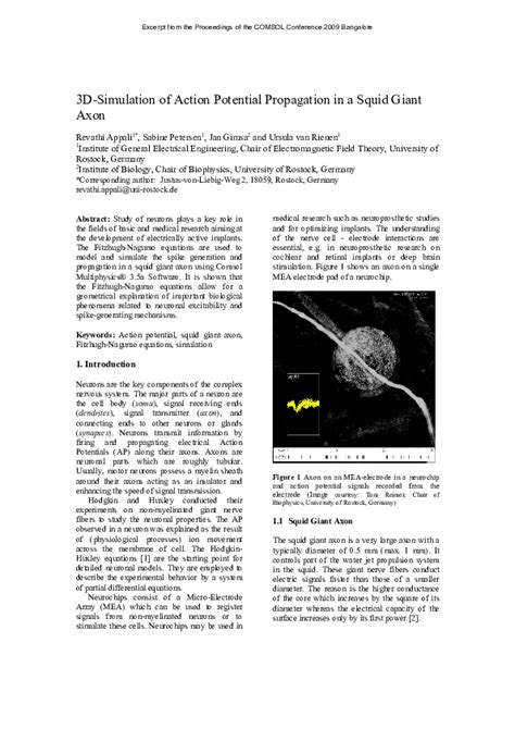 (PDF) 3D-Simulation of Action Potential Propagation in a Squid Giant ...