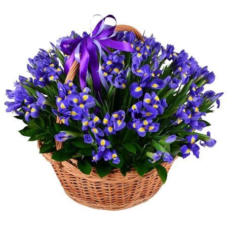 Order a bouquet «101 blue iris» with delivery