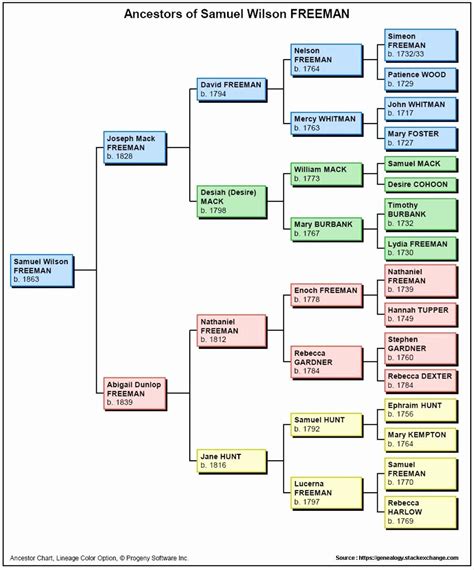 Sample Family Tree Chart Lovely Family Tree Chart Of Rizal | Family ...