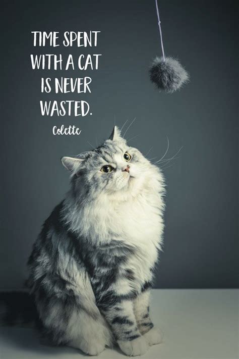 Famous Quotes about Cats and the People Who Love them