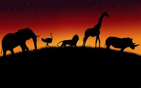 african animals wallpaper |Zoo Animals