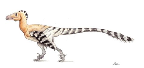 Deinonychus antirrhopus by MoriceMonkey93 on DeviantArt | Prehistoric ...