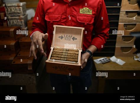 Danli, Honduras. 8th May, 2023. A worker shows hand-rolled cigars at a ...